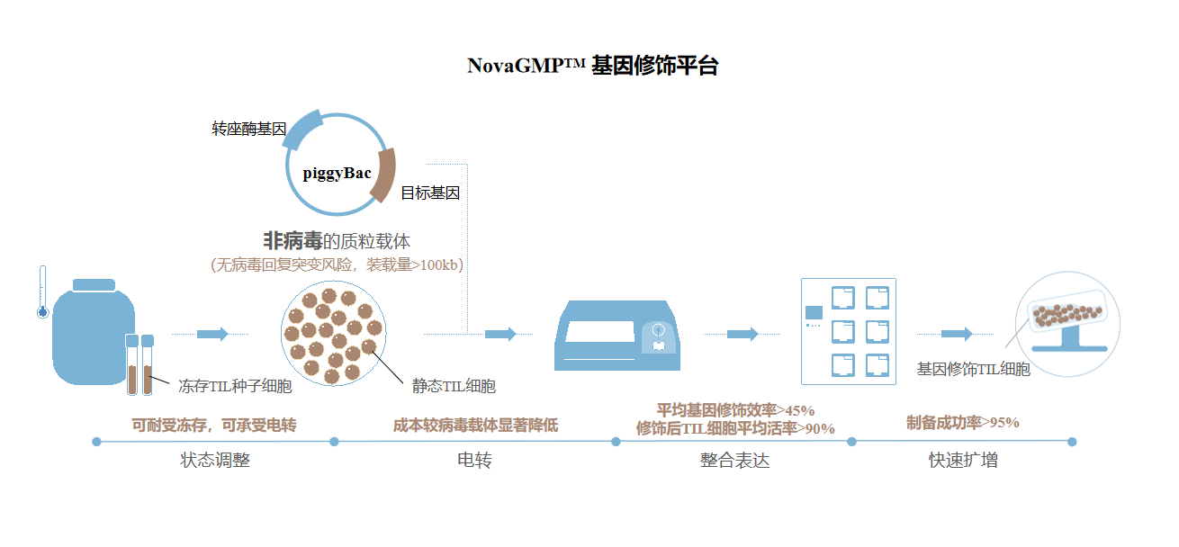 NovaGMP基因修饰平台.png
