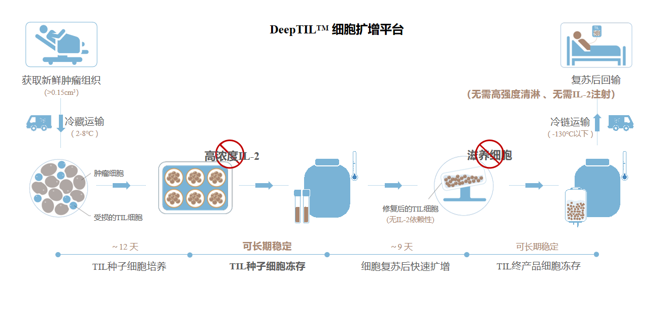 DeepTIL 细胞扩增平台.png